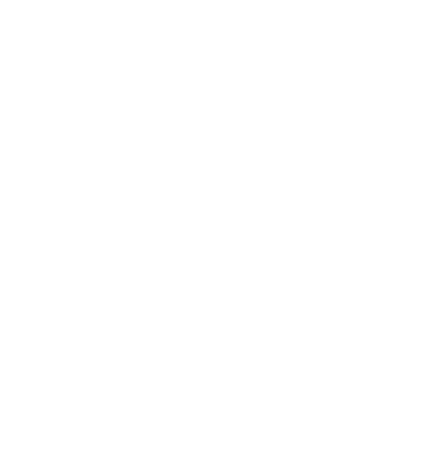 logo de website
